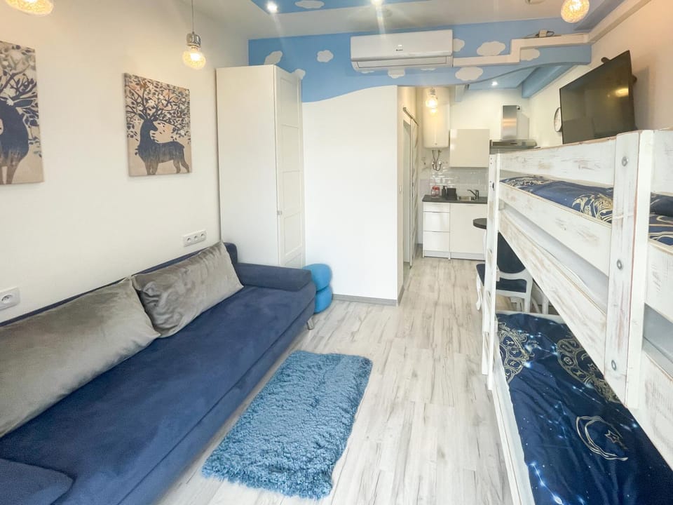Bed, TV and multimedia, Kitchen or kitchenette, Living room, Photo of the whole room, Seating area, Dining area, Bedroom, bunk bed, stove, air conditioner