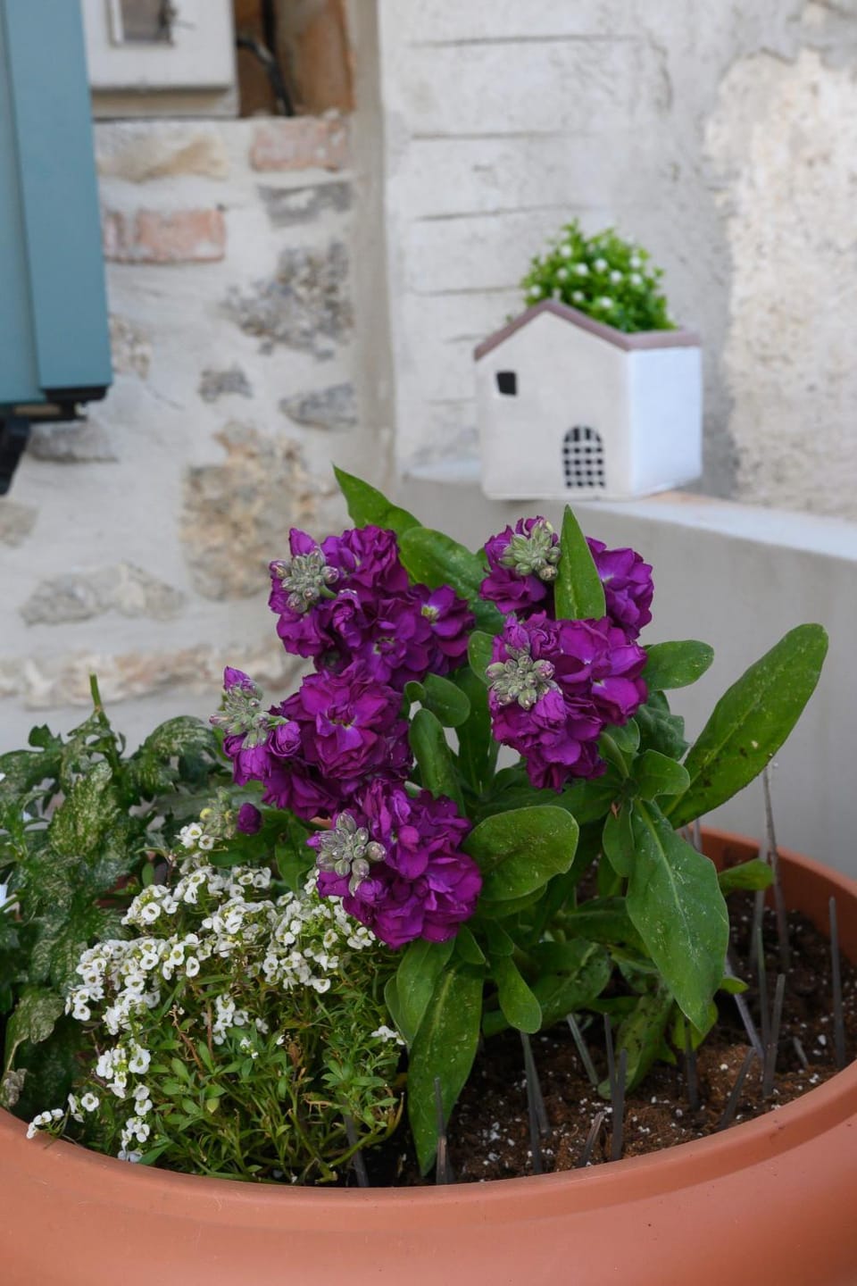 Spring, Day, Garden, Decorative detail, Garden view