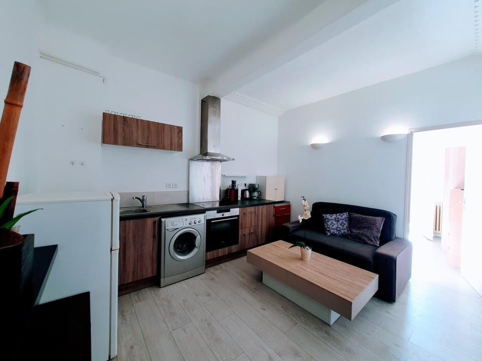 Climatisé,coeur de Juan-les-Pins Apartment in Antibes