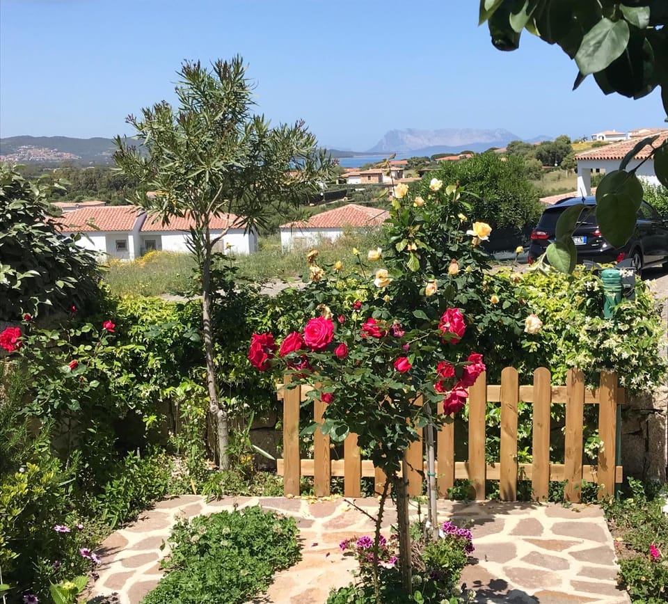 Frank's Home House in Sardinia