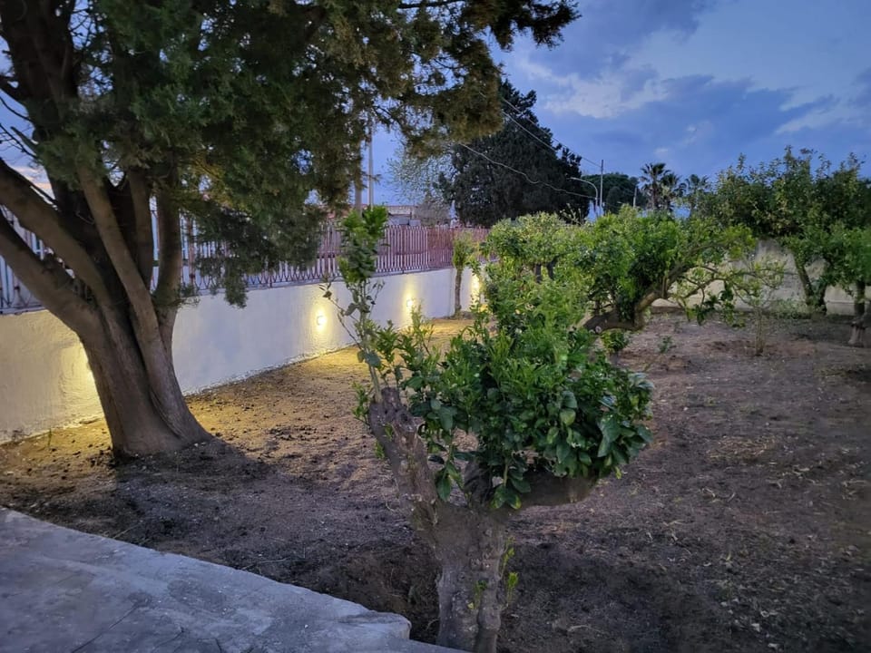 Night, Garden, Garden view