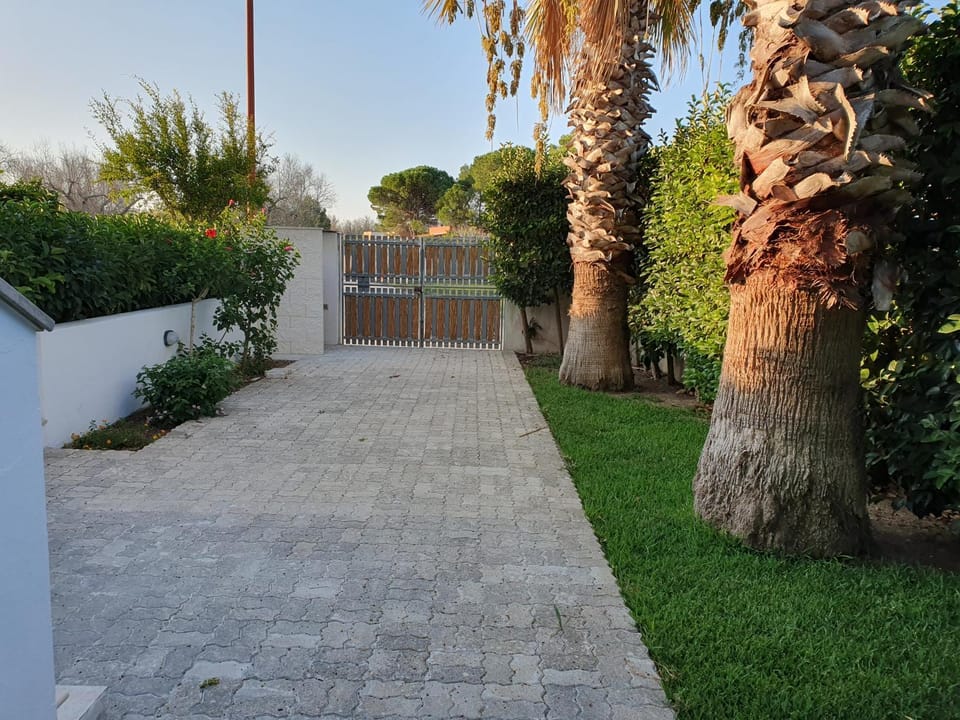 Inner courtyard view
