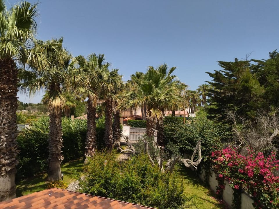Garden view