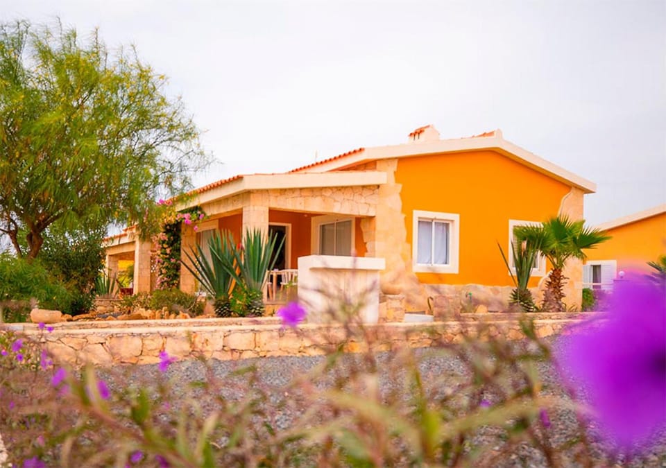Property building, Spring, Garden, Garden view
