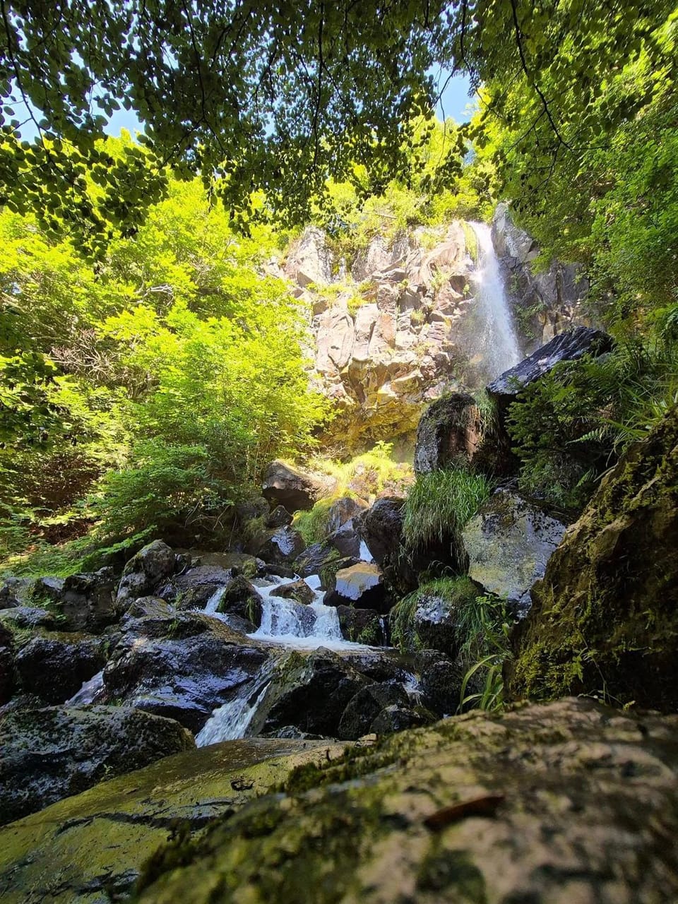 Natural landscape