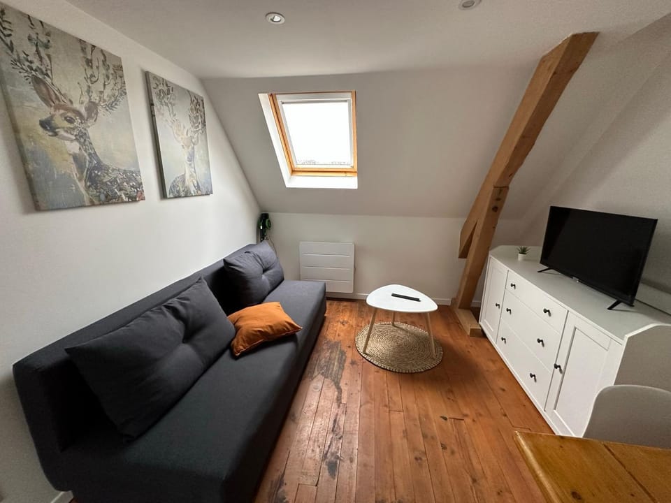 Communal lounge/ TV room, TV and multimedia, Living room