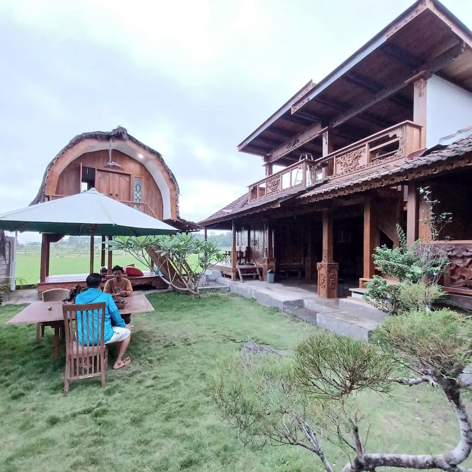 Property building, Day, Garden view