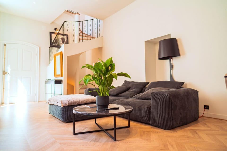 Hôtel particulier 123m² centre historique Avignon. Apartment in Avignon