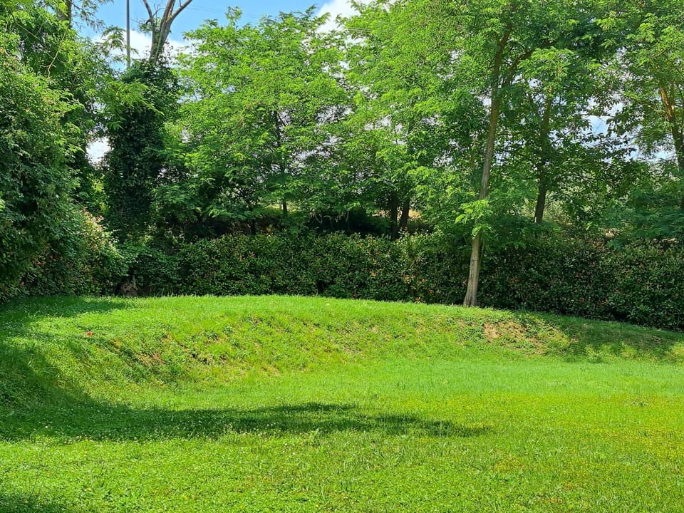 Natural landscape, Garden, Garden view