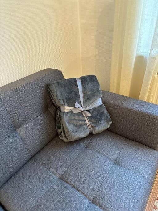 A2D Bel appartement, Nancy Thermal Apartment in Nancy