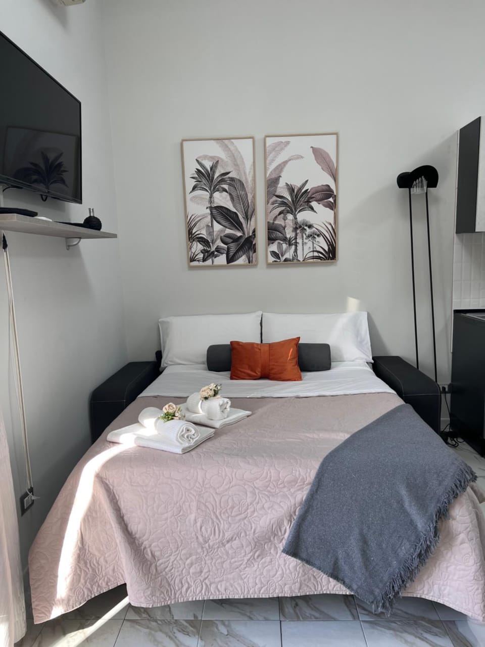 Bed, TV and multimedia