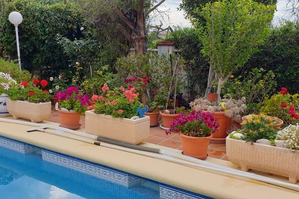 Garden view