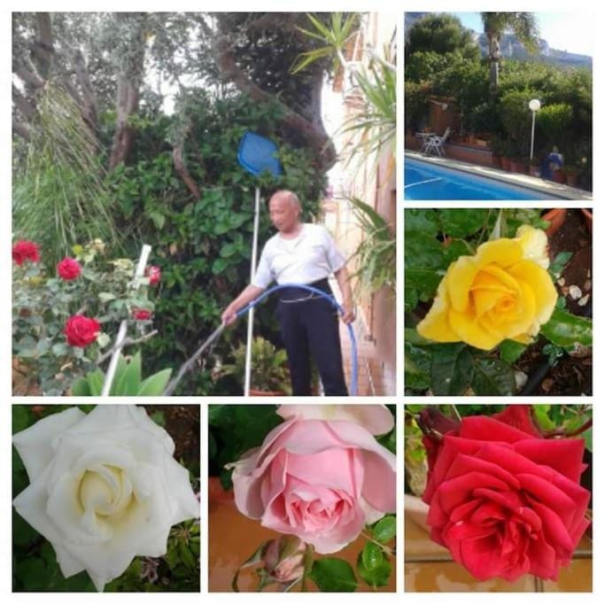 Garden view