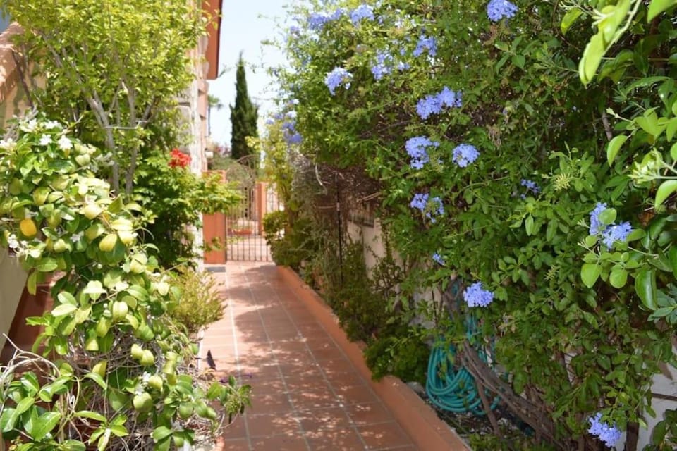 Garden view