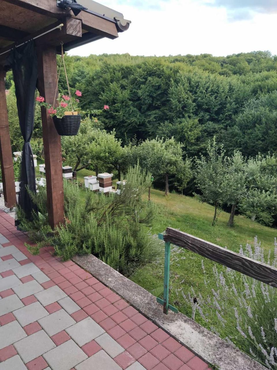 Garden view
