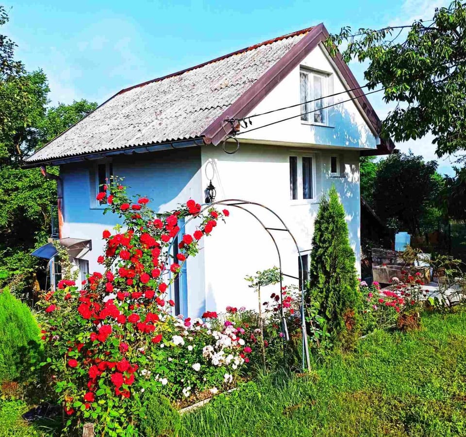 Property building, Day, Garden