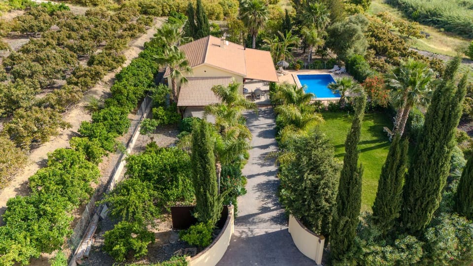 Natural landscape, Bird's eye view, Garden, Garden view, Pool view