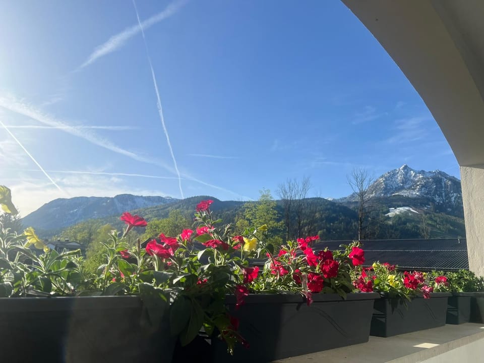 Wolfgangsee Ferienappartement „Bergliebe“ Apartment in Salzburgerland
