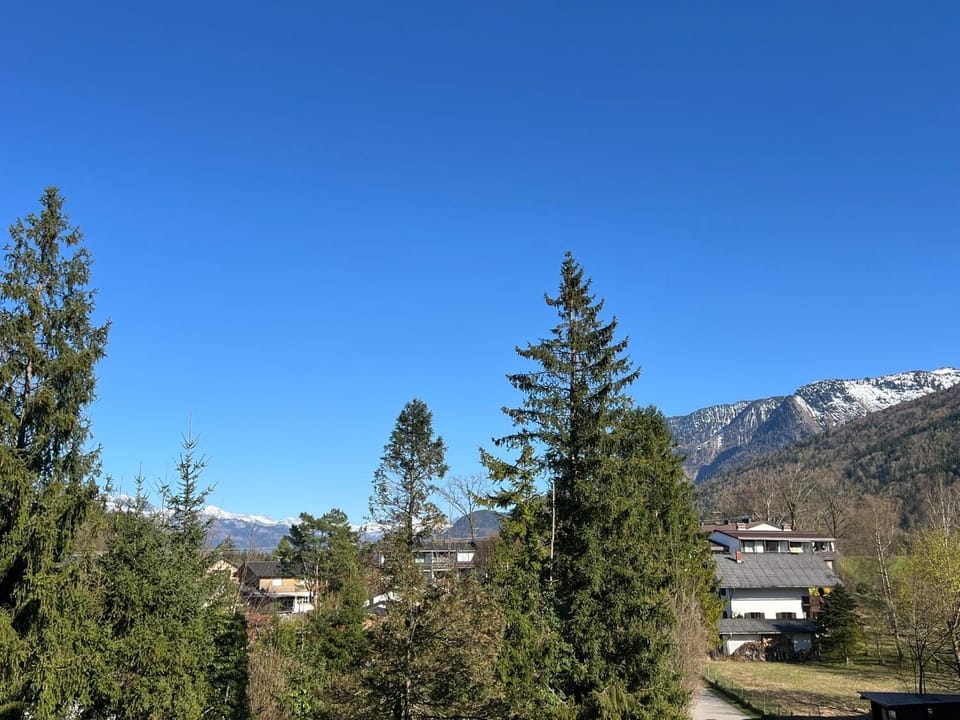 Wolfgangsee Ferienappartement „Bergliebe“ Apartment in Salzburgerland