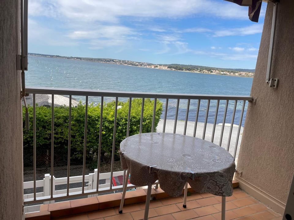 Appartement cosy avec balcon, animaux admis, parking - FR-1-503-172 Apartment in Balaruc-les-Bains