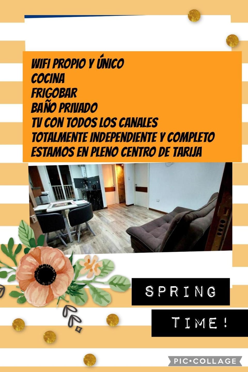 Centro de Tarija departamento independiente completo Apartment in Bolivia
