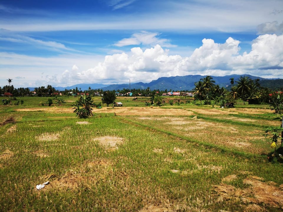 Mila Homestay Bed and Breakfast in Padang