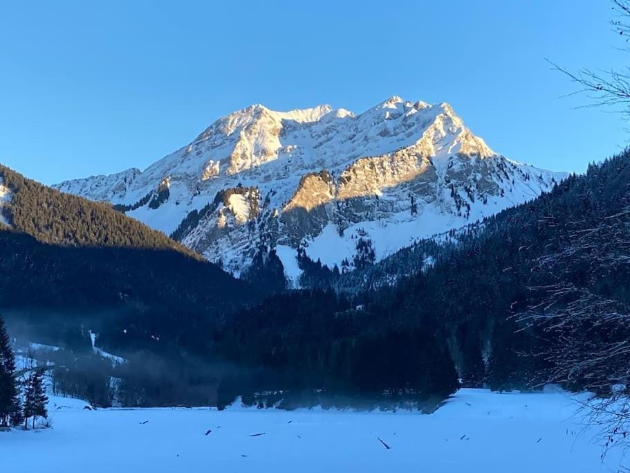 Le Bel appartement de Montagne Apartment in Haute-Savoie