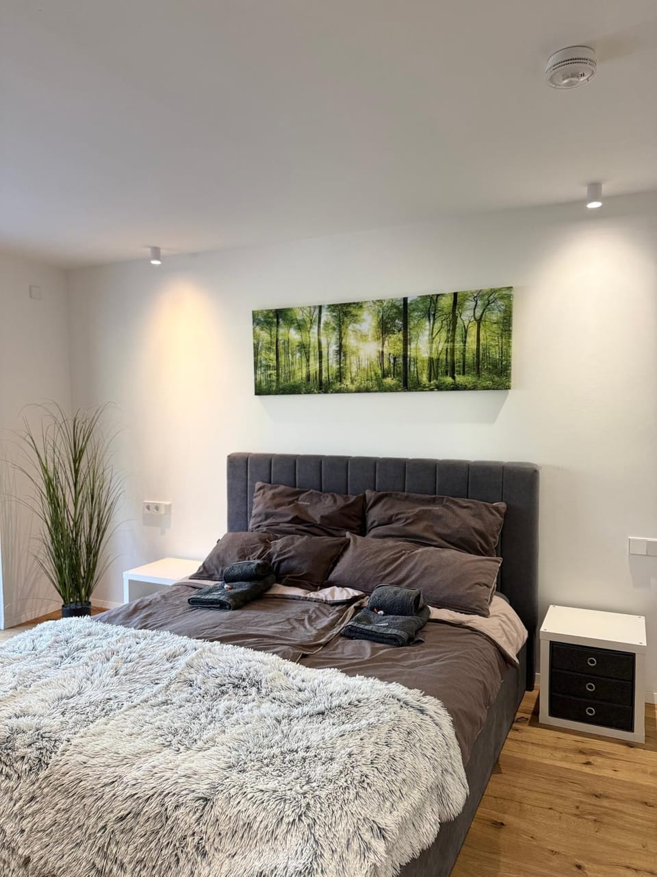 Coffee/tea facilities, Kitchen or kitchenette, Food and drinks, Dining area, Food, pet friendly, stove, toaster