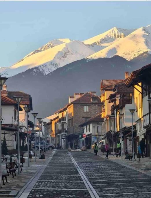 Lovely private apartment in Belelvedre Apartment in Bansko