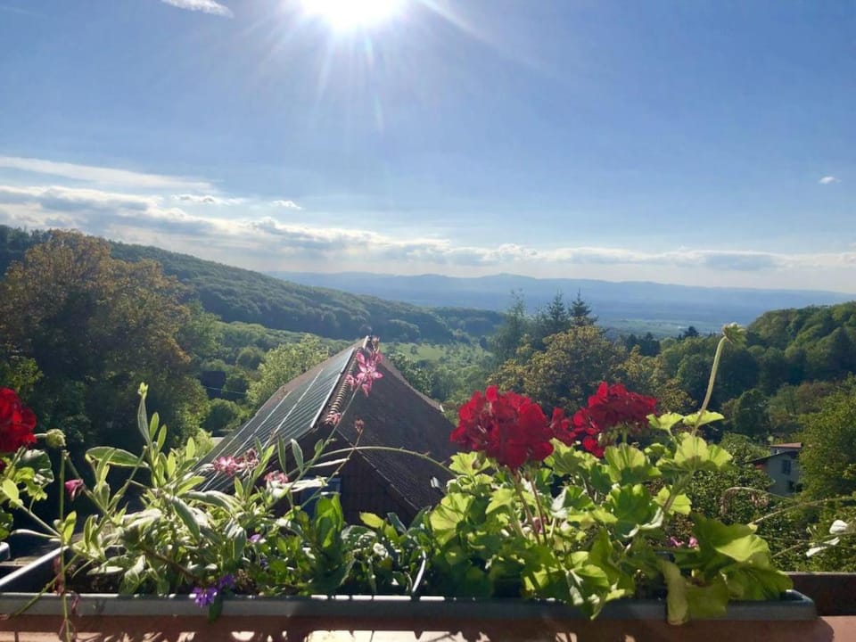 View (from property/room)