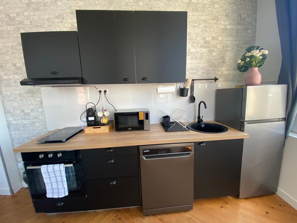 Kitchen or kitchenette, dishwasher, minibar, pet friendly, stove