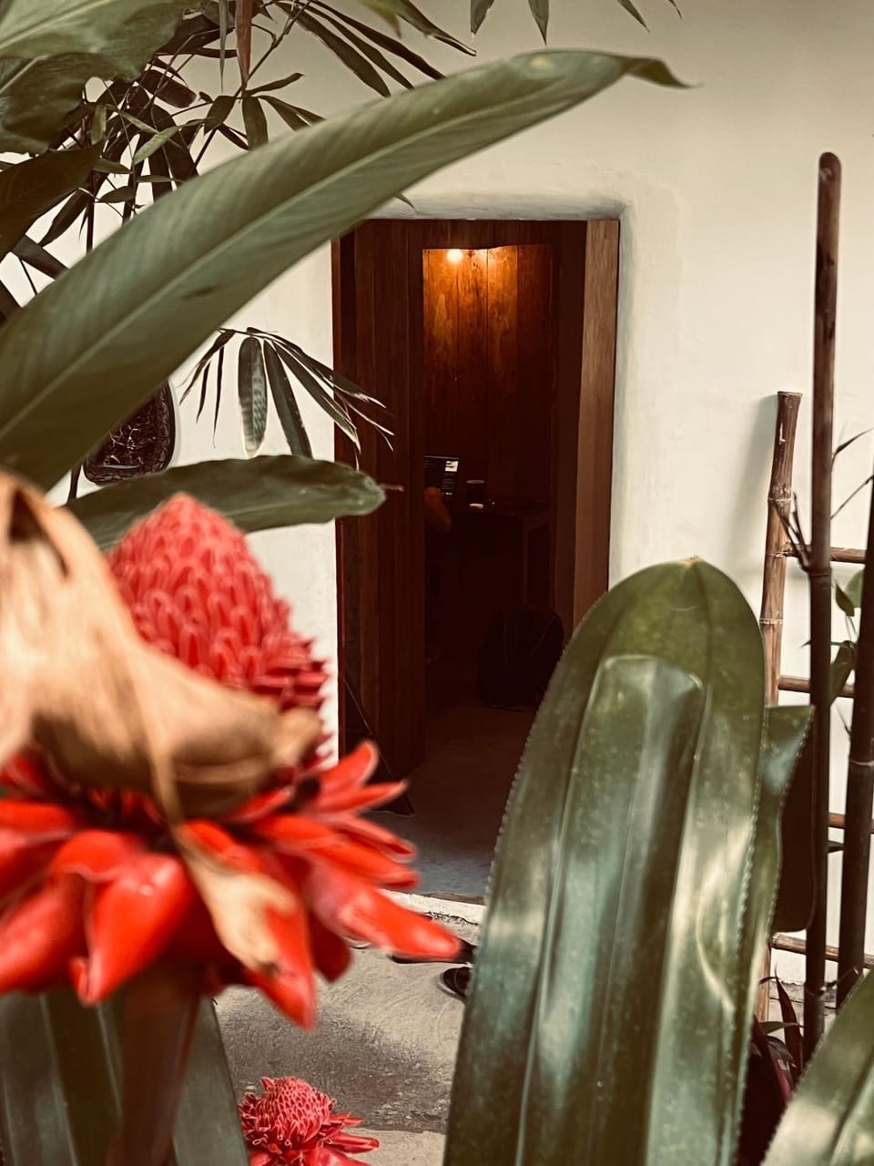 Lexias Hostel and Workspace - Siargao Hostel in General Luna