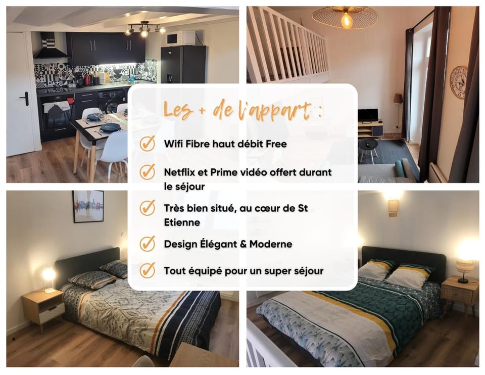 Appart’ entièrement rénové au centre ville St Étienne Apartment in Saint-Étienne