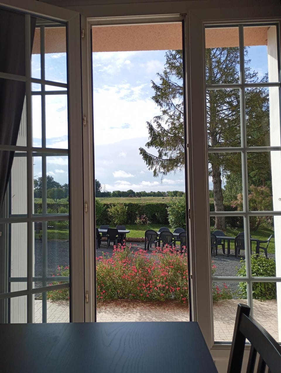 Garden view