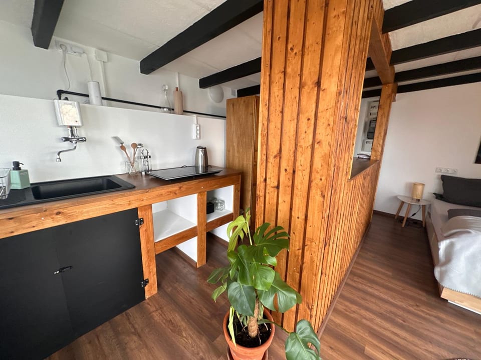 Bed, Kitchen or kitchenette, Photo of the whole room, Bedroom, stove, kitchen