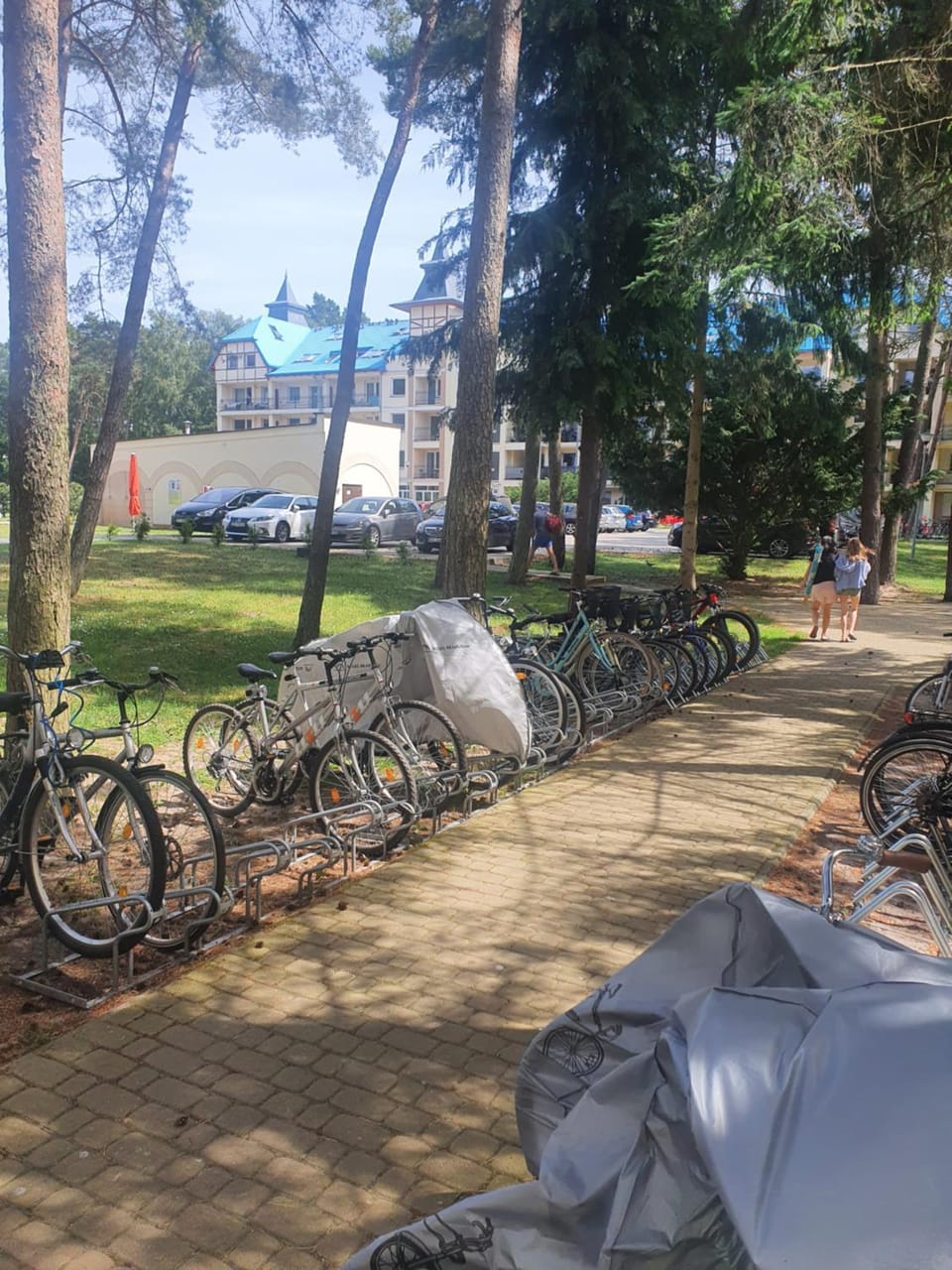 Day, Cycling