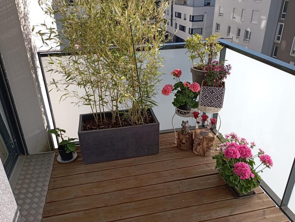 Balcony/Terrace, Internal: Not applicable to any particular room