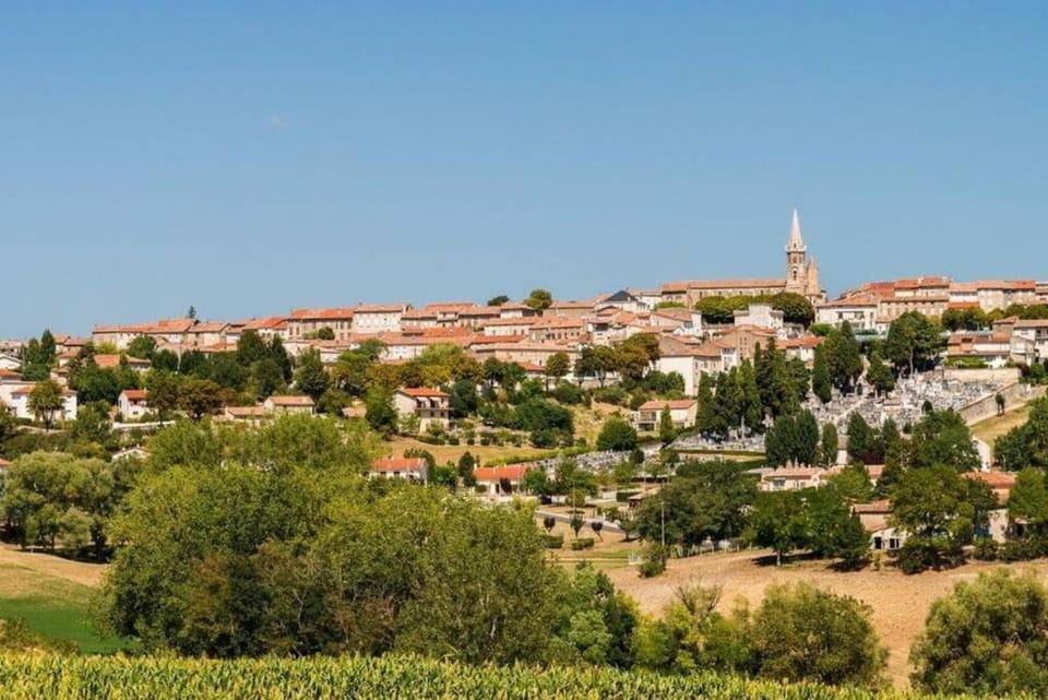 Charmant T2 refait à neuf, au cœur de Puylaurens Apartment in Occitanie
