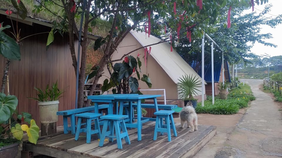 Patio, Spring, Day, Garden, Dining area, Garden view