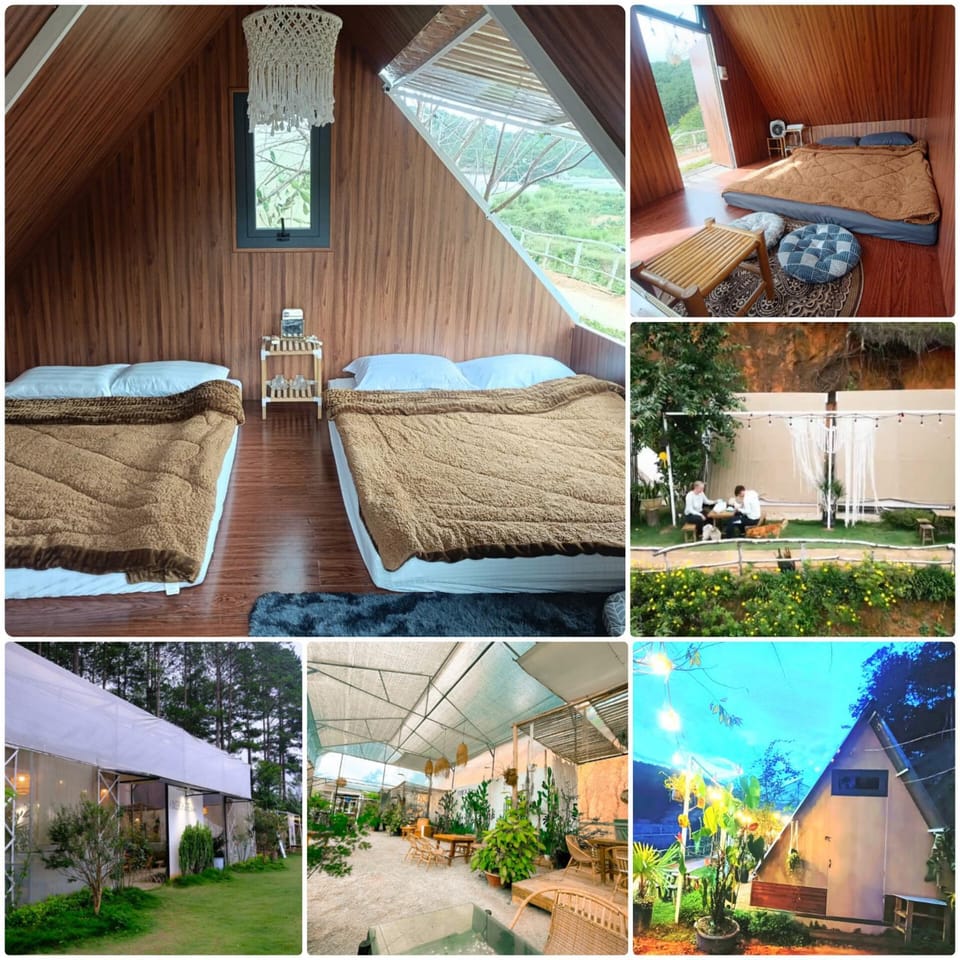Day, Garden, Garden view