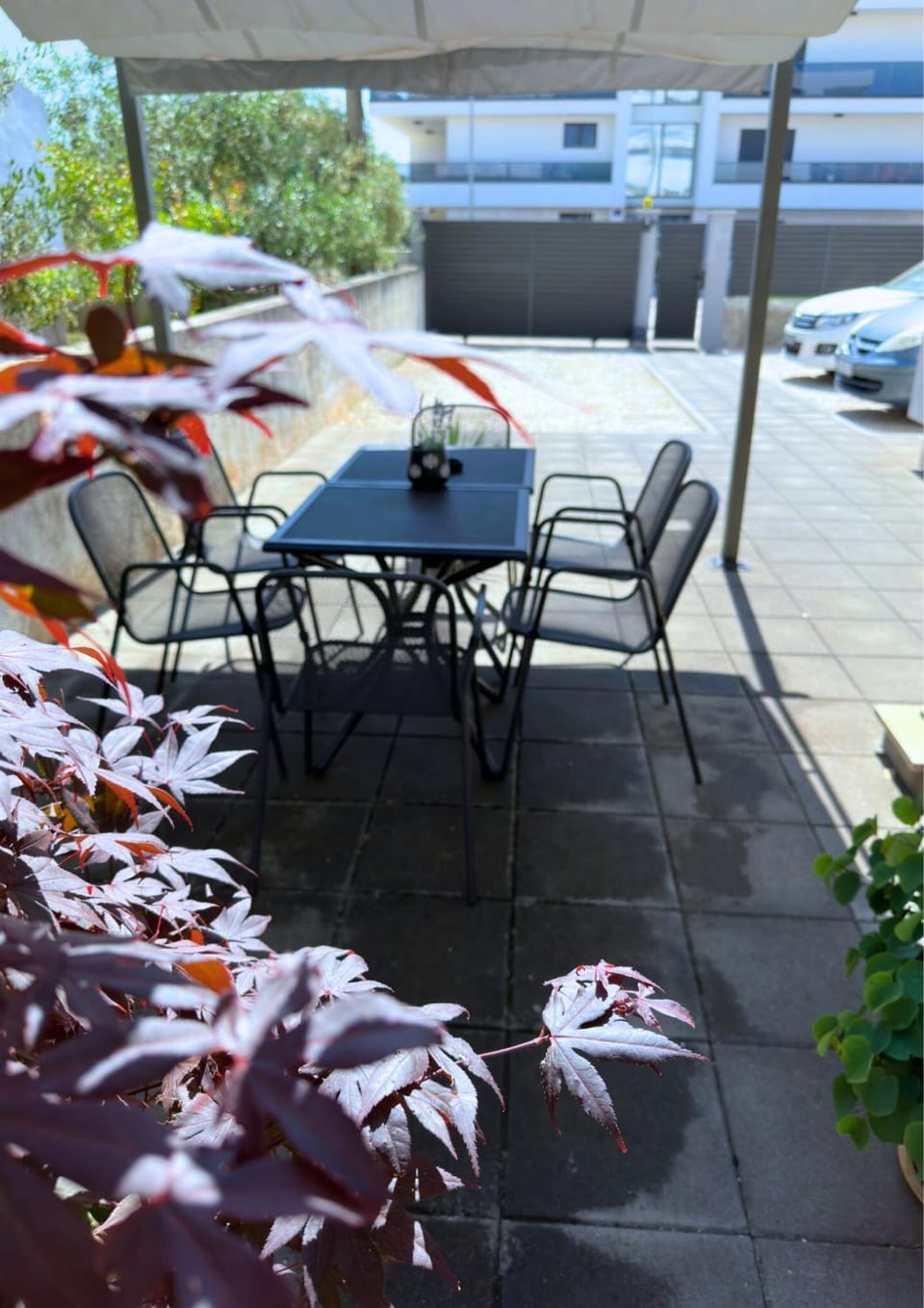 The Martinez Holiday House - Zadar Apartment in Zadar
