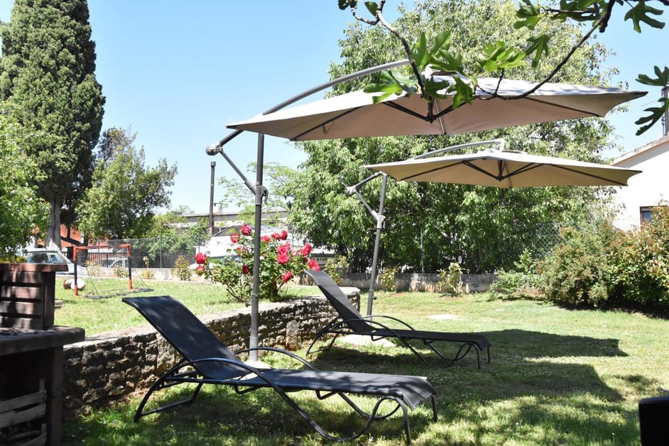 Natural landscape, Garden, Garden view