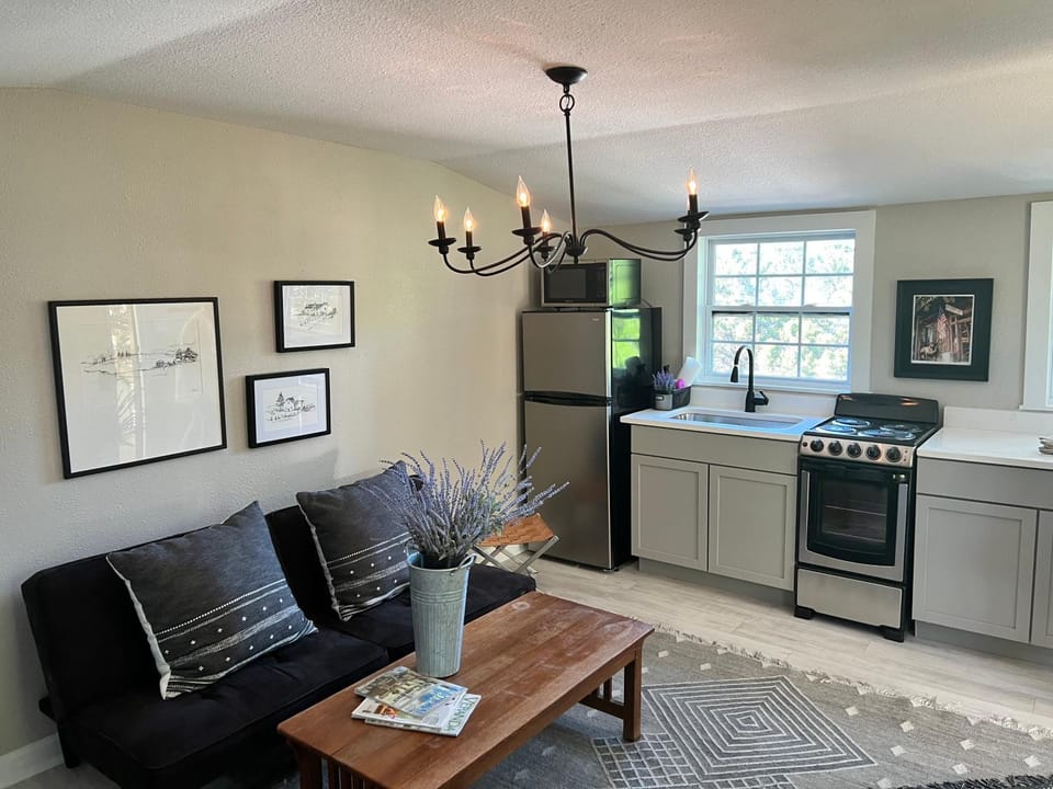 Kitchen or kitchenette, Living room, Seating area, Dining area, stove