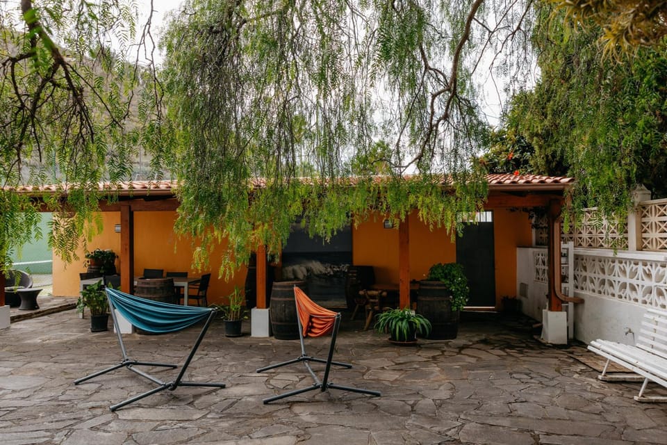 Spring, Garden, Garden, Balcony/Terrace