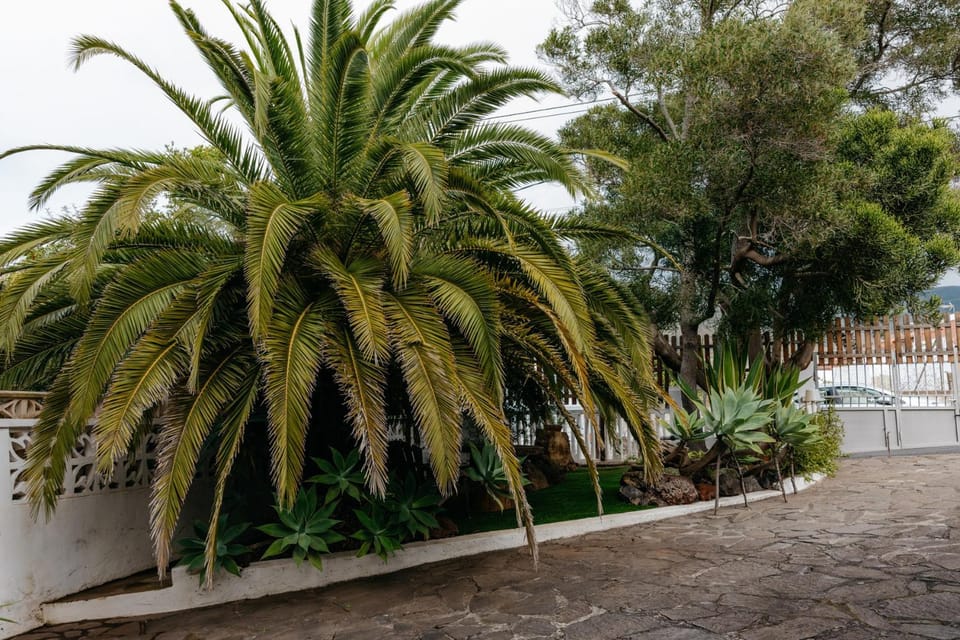 Garden, Garden view, Garden view