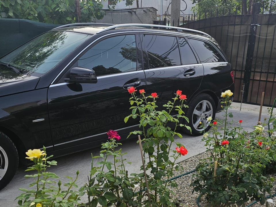 Day, Parking