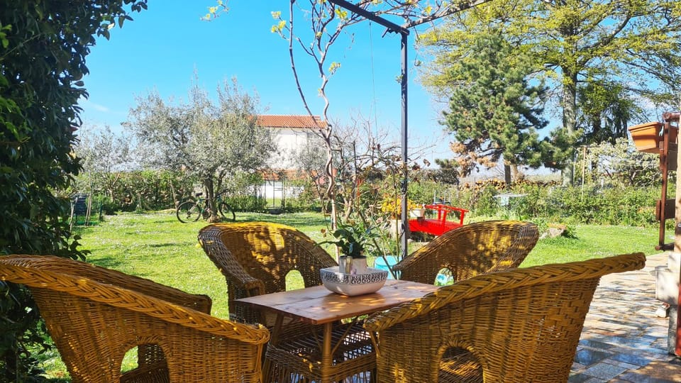 Garden, Balcony/Terrace