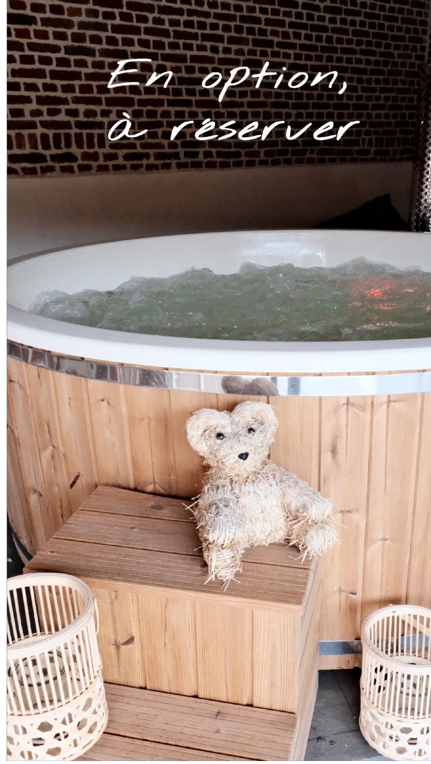 Hot Tub, Spa and wellness centre/facilities