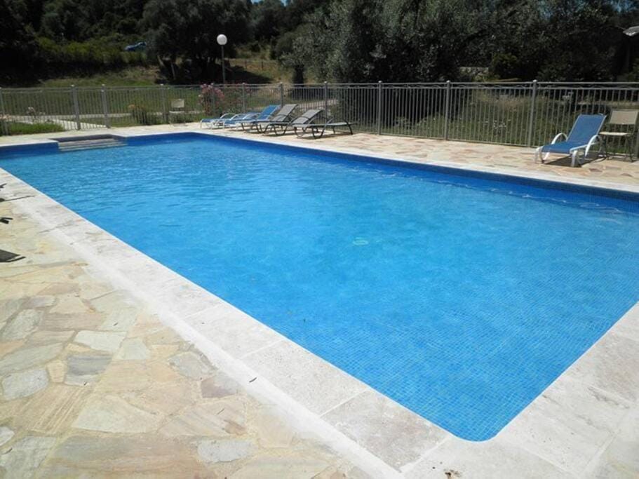 Day, Swimming pool, sunbed