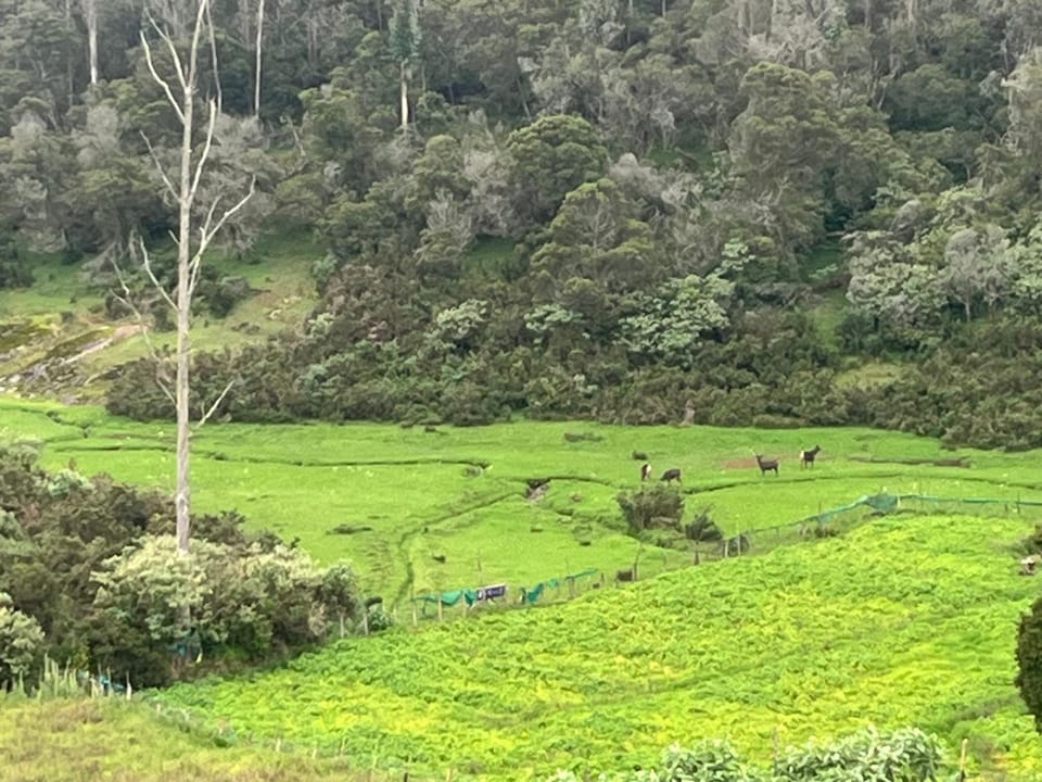REHMANS HOMESTAY Vacation rental in Ooty